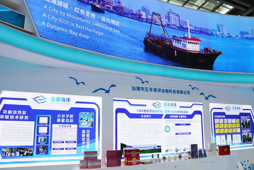 向海圖強(qiáng)，攜手繪就藍(lán)色發(fā)展新畫卷——深圳汕尾合作助推海洋經(jīng)濟(jì)高質(zhì)量發(fā)展